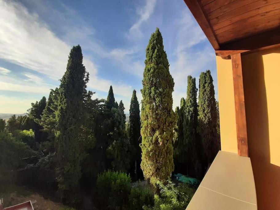 Lajatico Rentals - Terrazza Sul Tramonto Del Silenzio Exterior photo